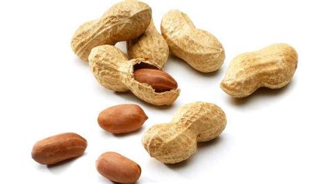 Leap Peanut Allergy Study Points To Potentially Brighter Future