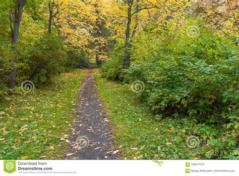 A Path In The Park Among The Trees Covered With Autumn Foliage Stock