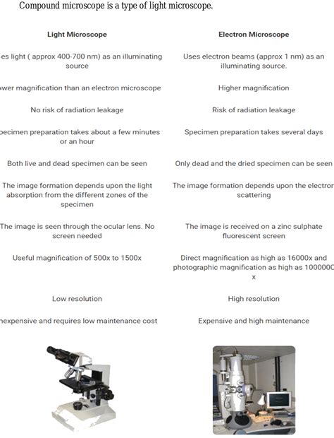 Top Difference Between Light Microscope And Electron Microscope My XXX Hot Girl