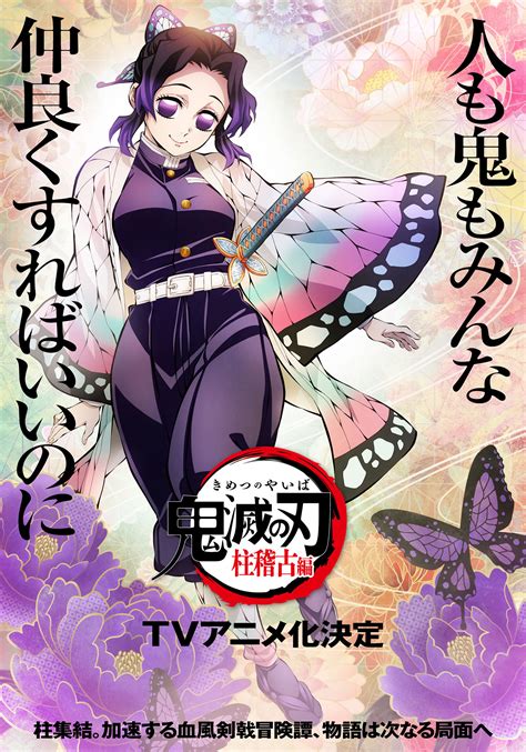 Demon Slayer Kimetsu No Yaiba Hashira Training Arc Anime Official Usa