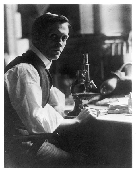 Sir Alexander Fleming Scottish Photograph By Mary Evans Picture