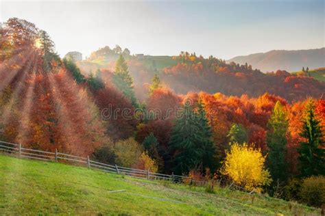 Colorful Autumn Scenery In The Carpathian Mountains At Sunrise Ukraine