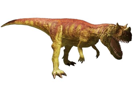 Clases De Dinosaurios Imagui