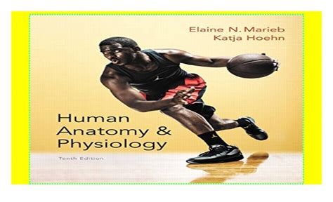 Human Anatomy And Physiology Marieb Human Anatomy And Physiology P