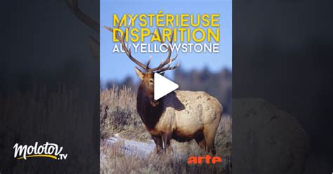 Mystérieuse Disparition Au Yellowstone En Streaming Gratuit