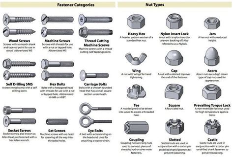 Use This Cheat Sheet To Identify Almost Any Nut Screw Bolt Or Washer