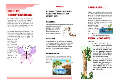 Ciencias Naturales Eder Reyes Triptico Biodiversidad