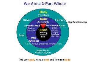 Models Of The Soul Vitality Personhood Consciousness And By David