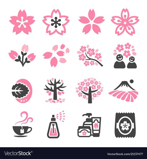 Cherry Blossom Icon Royalty Free Vector Image Vectorstock