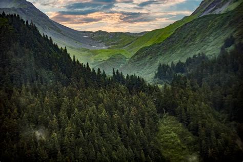 Photography Of Mountain Covered With Green Trees · Free Stock Photo
