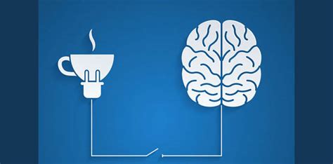 The Effects Of Caffeine On The Brain Techlezard