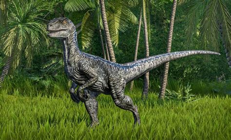Jwe Photos And Videos On Instagram “blue The Raptor Manojdalavoy Jurassic World Evolution
