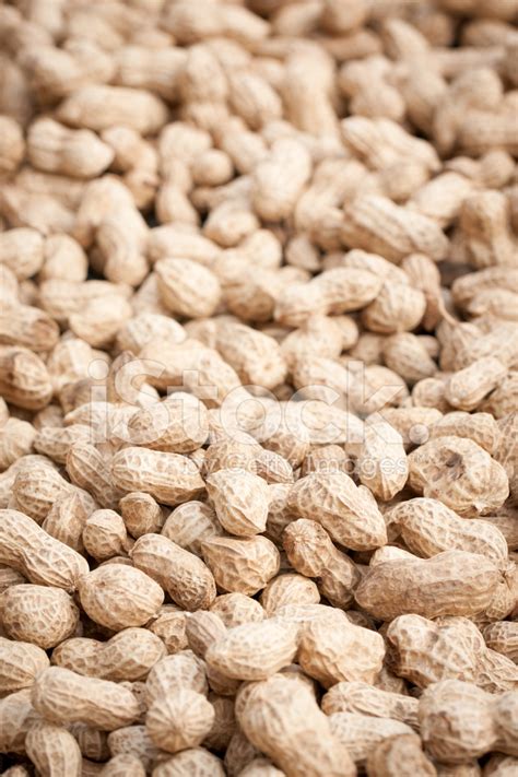 Peanuts Stock Photo Royalty Free Freeimages