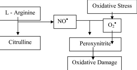Showing Increased Generation Of Superoxide Radical Due To Oxidative