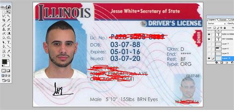 Driver License And Ssn Novelty Document Usa