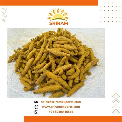 Premium Quality Turmeric Finger Nizamabad Double Polished High Curcuma