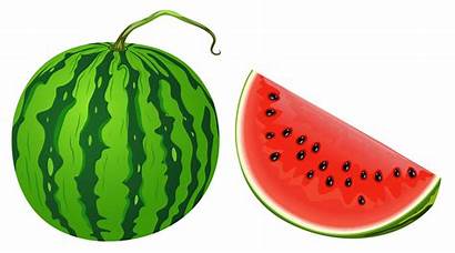 Clipart Melon Watermelon Transparent Clip Water Fruit