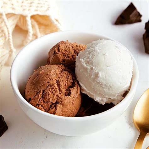 Vegan Ice Cream Recipe 25 Different Flavors Karinokada