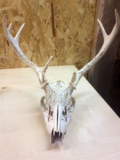 Deer Skull Pyrography Etsy Deer Skulls Animal Skulls Cow Skull Decor