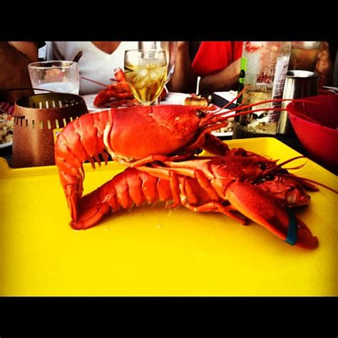 lobster sex evacovec flickr