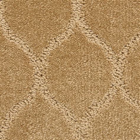 Stainmaster Petprotect Iconic Brilliant Carpet Sample At