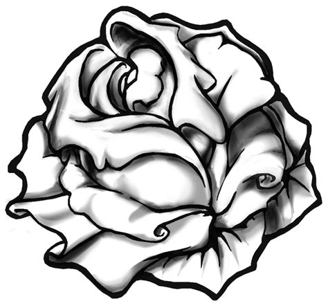 Discover 378 free lineart png images with transparent backgrounds. 8 Line Art Roses Up For Adoption | ReUsage