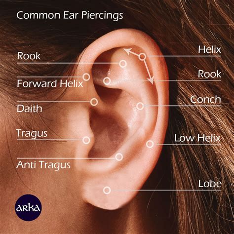 What Are The Different Types Of Ear Piercings Arka