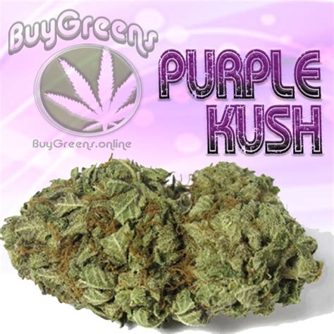 Purple Kush 23g Special Buygreens