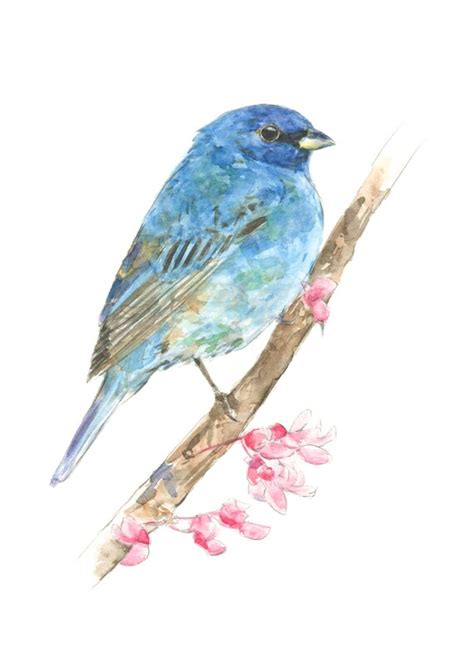 Indigo Bunting Watercolor Painting Bird Watercolor Painting