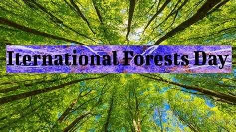 International Forests Day 2023 Theme कब और कैसे मनाया जाता है