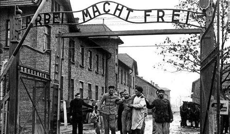 Lì i prigionieri mangiavano razioni scarsissime, dormivano in baracche sporche e l'idea che rendeva mostruosa l'invenzione del campo di concentramento non riguardava solo la sua organizzazione di sterminio e morte ma anche. Auschwitz, la canzone di Guccini che racconta l'olocausto | Globalist