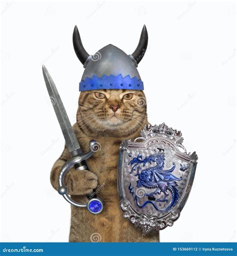 Cat Holds A Shield And A Sword 3 Stock Photo Image Of Creative Arms