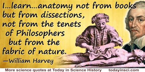 William Harvey Quotes 30 Science Quotes Dictionary Of Science