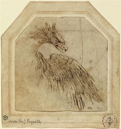 Titian Italian C 1490 1576 An Eagle Drawing By Quint Lox Fine