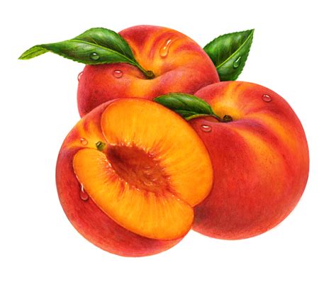 Peaches Clipart Peaches Transparent Free For Download On