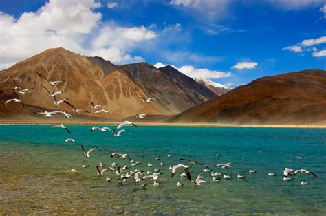 5 Places You Should Definitely Visit On Your Leh Ladakh Trip