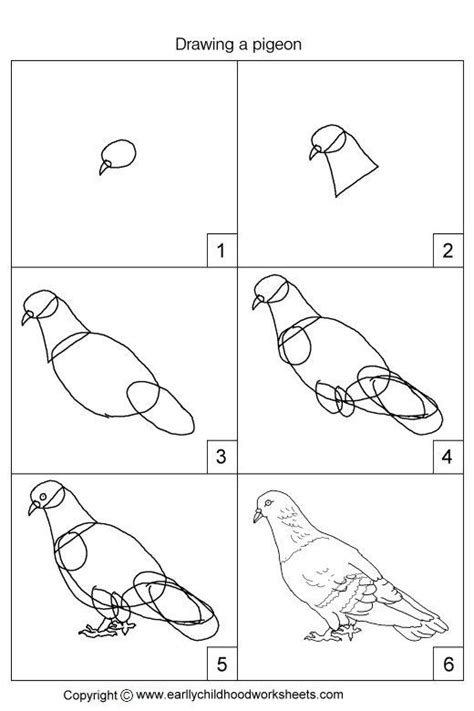 How To Draw A Pigeon Really Easy Drawing Tutorial