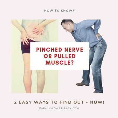 Learn vocabulary, terms and more with flashcards, games and other study tools. Pinched Nerve or Pulled Muscle: 2 Easy Ways to Find Out