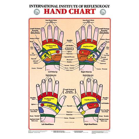 Reflexology Charts Diamond Athletic