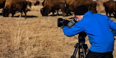 Ken Burns To Examine The American Buffalo In New Documentary