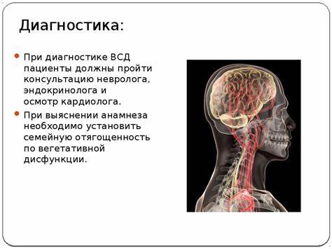 Сосудистая дистония диета Сосудистая дистония диета
