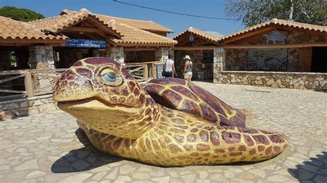 Zakynthos Turtle Rescue Center Vasilikos Lohnt Es Sich Mit Fotos