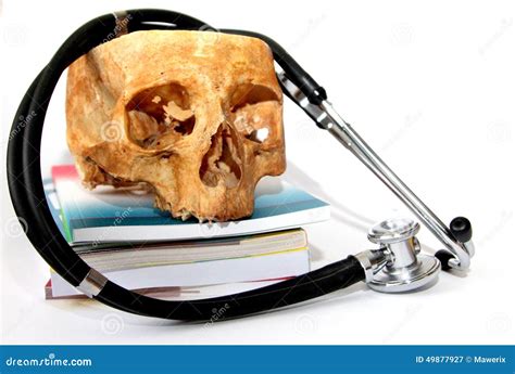 Sthethoscope And Human Skull On Books Stock Image Image Of Sapience