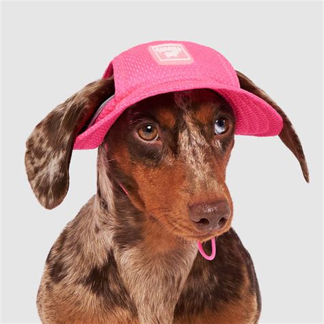 Chill Seeker Cooling Dog Sun Hat Canada Pooch