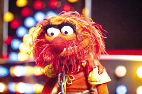 Weekly Muppet Wednesdays: Animal | The Muppet Mindset