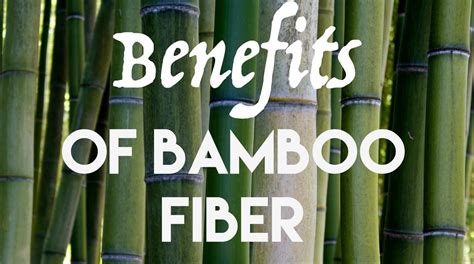 5 Top Benefits Of Bamboo Fiber Bamboo Bob