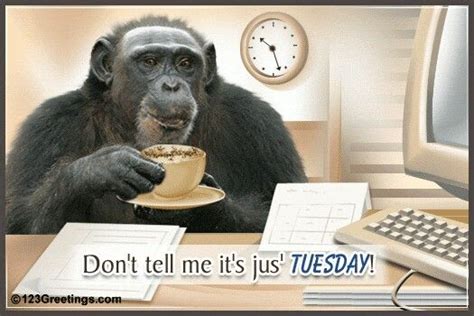 Wish I Could Monkey Around In A Nice Coffee Break On Tuesday Funny