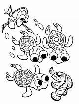 Turtle Coloring Sea Nemo Turtles Finding Colouring Printable Snapping Drawing Animals Getdrawings Getcolorings Library Clipart sketch template