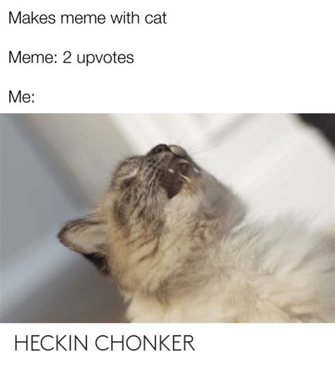 Heckin Chonker Reddit Meme On Meme