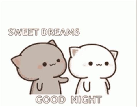 Cute Goodnight Cat Kiss 
